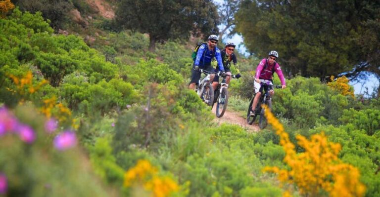 Ramatuelle: Tracks & Tasting Winery Tour by Mountain E-Bike - Detailed Breakdown of the Experience