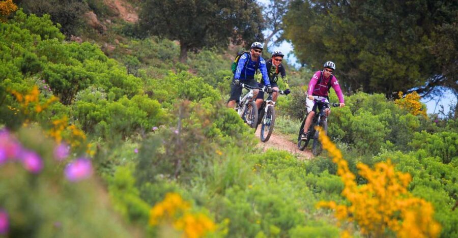 Ramatuelle: Tracks & Tasting Winery Tour by Mountain E-Bike - Detailed Breakdown of the Experience