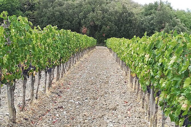 "Ramble Through The Rolling Hills Of Chianti" with lunch & Wine Tastings - Final Thoughts