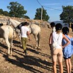 Ranch 22 Podstrana, " Horse riding 12 km from SPLIT " - A Detailed Look at the Roman Trail Horseback Tour