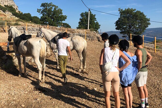 Ranch 22 Podstrana, " Horse riding 12 km from SPLIT " - A Detailed Look at the Roman Trail Horseback Tour