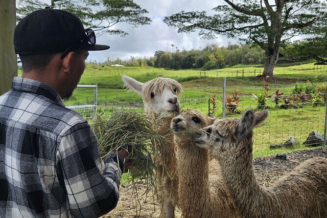 Ranch Tour & Animal Encounters - Who Will Love This Tour?