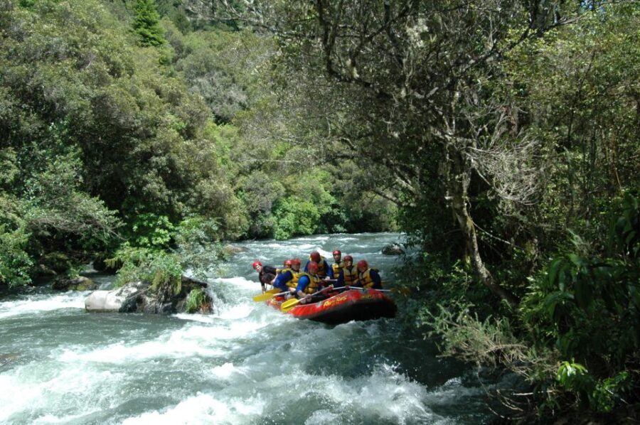 Rangitaiki Rafting Grade 3-4 - Who Will Love This Trip?