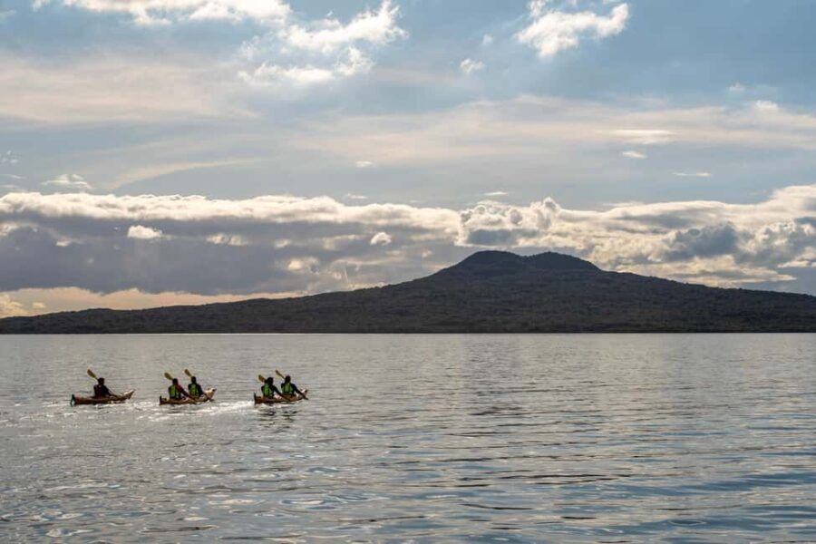 Rangitoto Island: Sea Kayak & Summit Hike Day Trip - An Authentic Adventure on Auckland’s Youngest Volcano