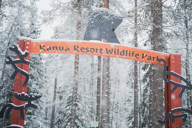 Ranua Wildlife Park Day : Visit the Arctic Animals! - The Value for Travelers
