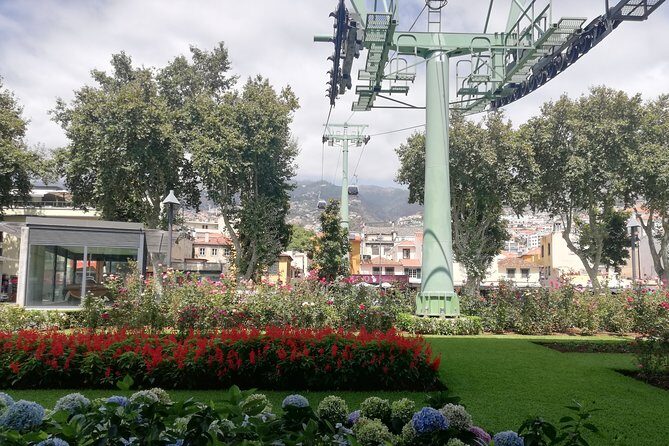 Real Life, Mountains & Sea Cliffs + Lunch + Levada walk - 6 hours - A Deep Dive into the Madeira Jeep Tour
