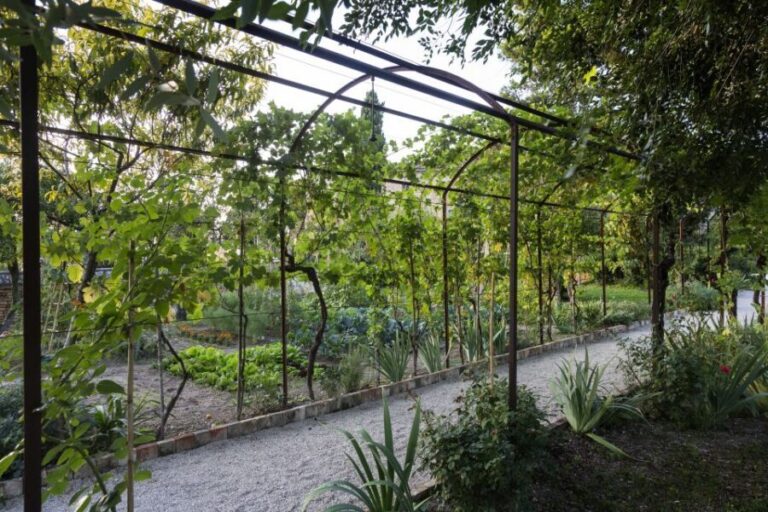 Recanati: Orto sul colle dell'infinito Entry Ticket - Who Would Benefit Most from This Experience?