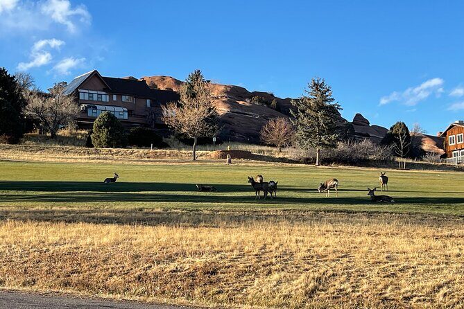 Red Rock & Concert Performance Venues Ride - Frequently Asked Questions