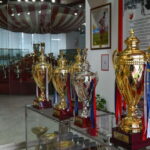 Red Star Football Club Museum Ticket - Who Should Consider This Tour?