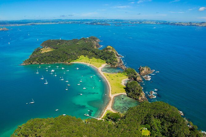 Redwood Forest , Blue Springs & Huka Falls Day Tour from Auckland - Frequently Asked Questions