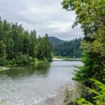Redwood National and State Parks Self-Guided Audio Driving Tour - Who Will Love This Tour?