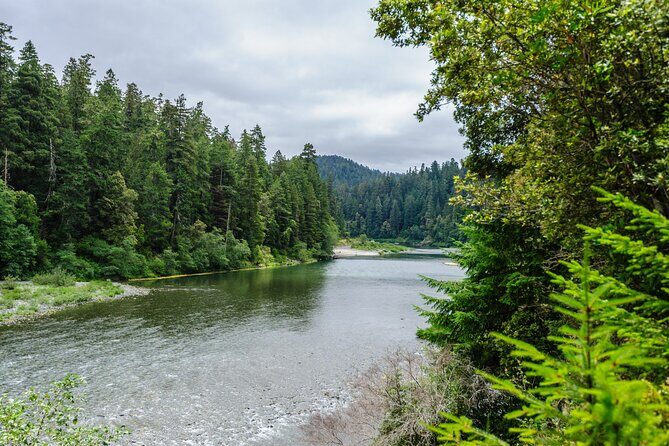Redwood National and State Parks Self-Guided Audio Driving Tour - Who Will Love This Tour?