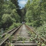 Redwoods Railbike Along Pudding Creek - Who Will Love This Tour?