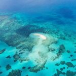Reef and Rainforest 60 minute Scenic Flight - Why This Tour Is a Great Choice