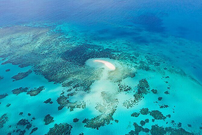 Reef and Rainforest 60 minute Scenic Flight - Why This Tour Is a Great Choice