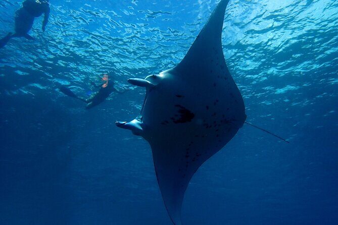 Reef Discovery Private Dream Day Tour - FAQ