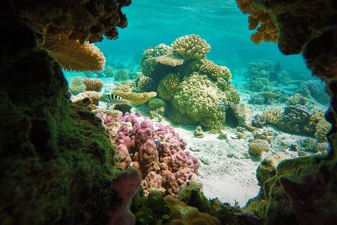 Reef Discovery Private Treasure Hunt - A Detailed Breakdown of the Itinerary