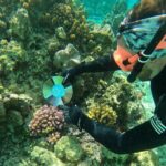 Reef Exploration with Reva Atea participatory science - Exploring Moorea’s Reefs with Reva Atea – A Deep Dive into Experience