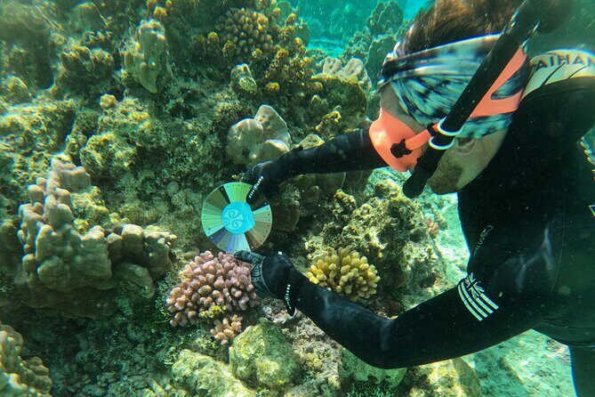 Reef Exploration with Reva Atea participatory science - Exploring Moorea’s Reefs with Reva Atea – A Deep Dive into Experience
