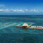 Reef Explorer Half Day Trip - Who Should Consider This Tour?
