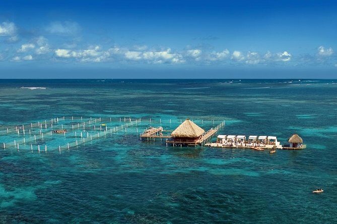 Reef Explorer Half Day Trip - Who Should Consider This Tour?