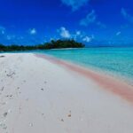 REEF ISLAND | private island | pink sand | natural swimming pools - The Sum Up: Who Is This Tour Best For?