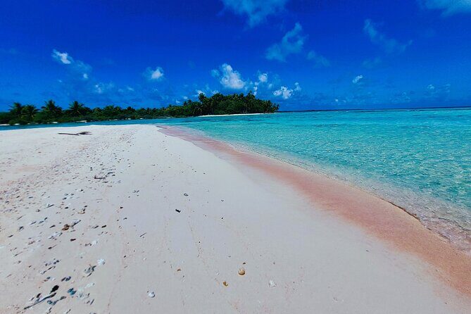 REEF ISLAND | private island | pink sand | natural swimming pools - The Sum Up: Who Is This Tour Best For?