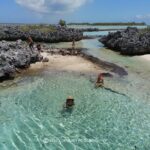 Reef island private tour - Who Is This Tour Best For?