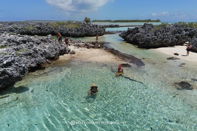 Reef island private tour - Who Is This Tour Best For?