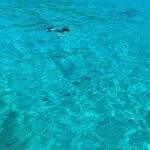 Reef Safari - Snorkeling, Fish Feeding & Lunch (Shared Day Trip) - Final Thoughts