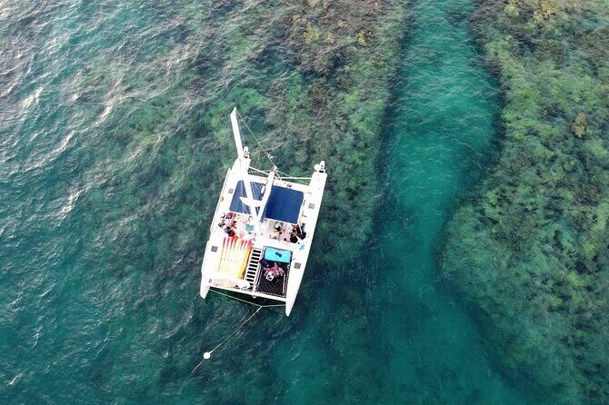Reef Snorkel + Sandbar & Sunset Sail-Small Groups with Honest Eco - Why This Tour Offers Great Value