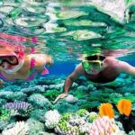 Reef Snorkel, underwater adventure in Puerto Morelos With Transportation & Lunch - Who Will Love This Tour?
