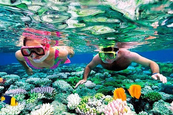 Reef Snorkel, underwater adventure in Puerto Morelos With Transportation & Lunch - Who Will Love This Tour?
