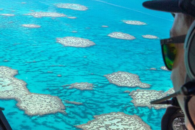 Reef & Whitehaven Spectacular - 60 Minute Helicopter Tour - A Closer Look at the Experience