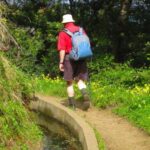 Referta / Castelejo - Levada Walk - The Journey and Its Highlights