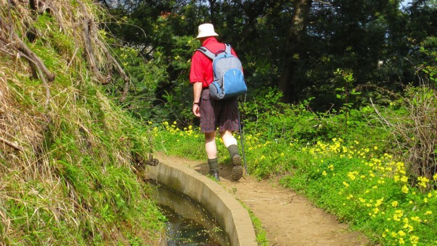Referta / Castelejo - Levada Walk - The Journey and Its Highlights