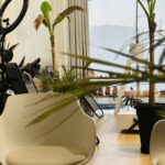 Reflexology Couples Workshop in Crete - FAQs