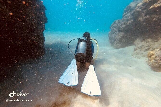 Refresher Scuba Dive - Who Should Consider This Tour?