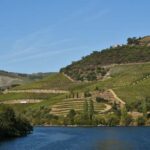 Régua to Pinhão Scenic Douro Cruise - Final Thoughts: Is It Worth It?