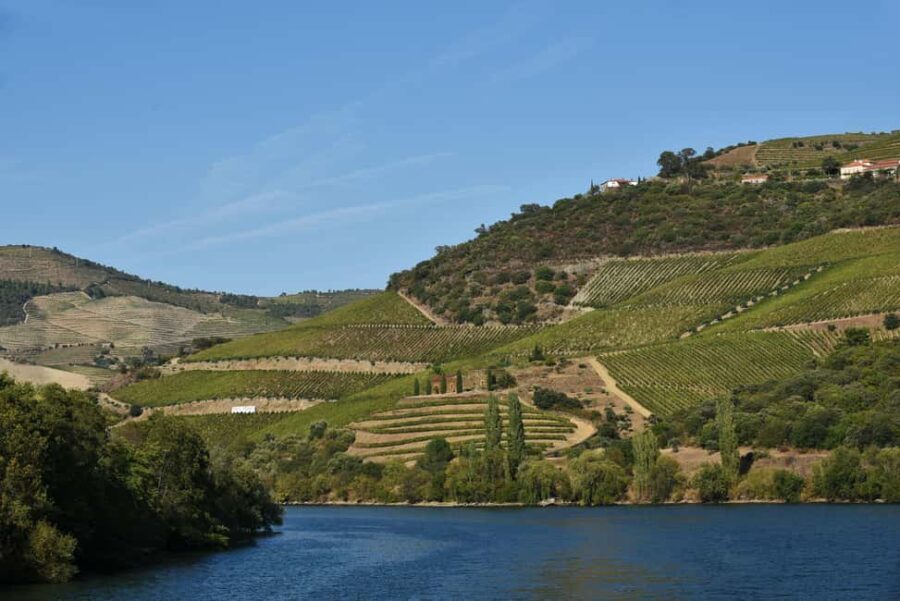 Régua to Pinhão Scenic Douro Cruise - Final Thoughts: Is It Worth It?