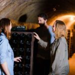 Reims & Epernay: Full Day Private Champagne Tour & 2 Growers - The Experience: A Deep Dive into Champagne’s Heart