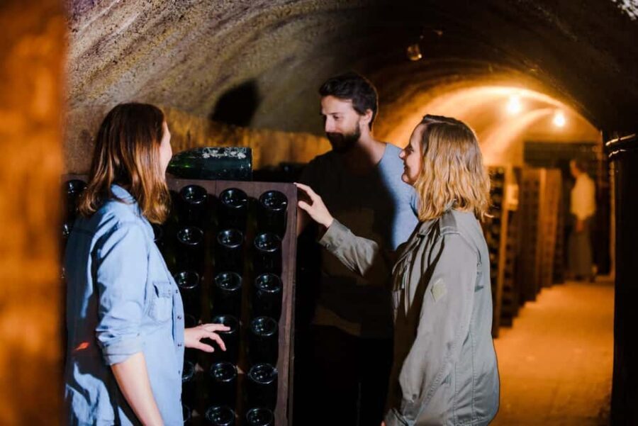 Reims & Epernay: Full Day Private Champagne Tour & 2 Growers - The Experience: A Deep Dive into Champagne’s Heart