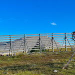 Reindeer and Stories: A Sami Cultural Adventure - Practical Details and Considerations