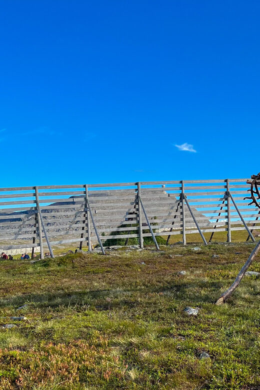 Reindeer and Stories: A Sami Cultural Adventure - Practical Details and Considerations