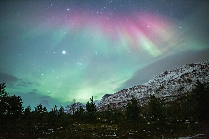 Reindeer Feeding and Sledding, Sami Storytelling Night Tour - FAQ