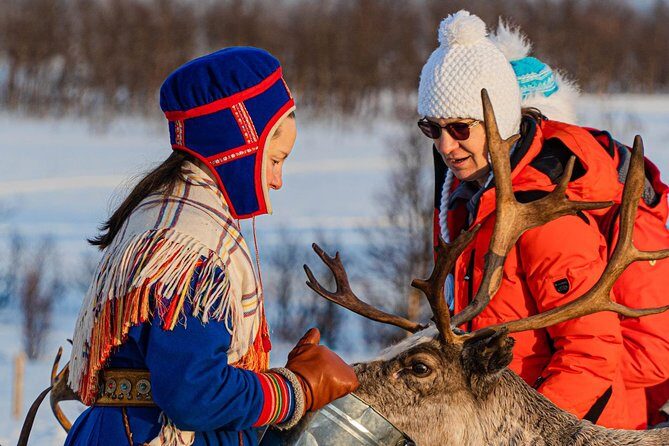 Reindeer feeding & Saami Culture - Value and Overall Impression