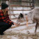 Reindeer Husbandry with Snowmobile Sleigh Ride and Lunch - FAQ