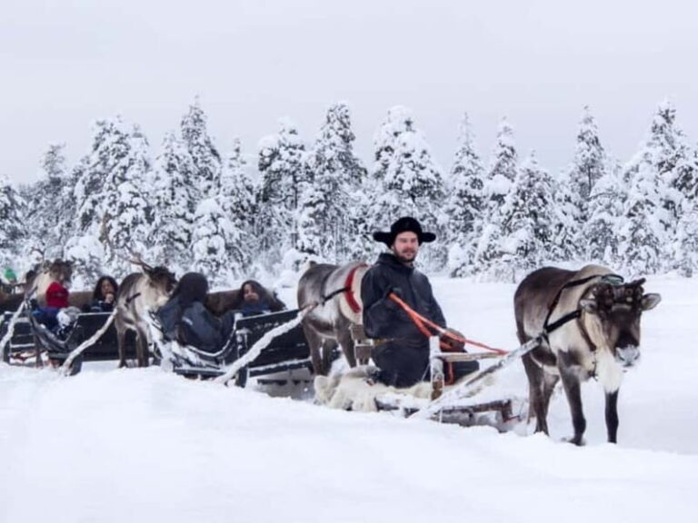 Reindeer Safari at a 200-Year-Old Farm & Long Sled Ride - Frequently Asked Questions (FAQs)