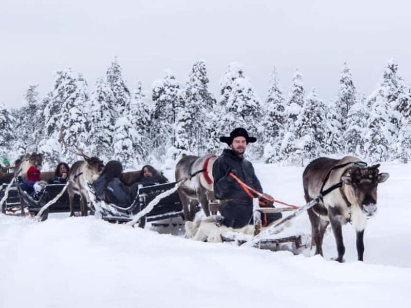 Reindeer Safari at a 200-Year-Old Farm & Long Sled Ride - Frequently Asked Questions (FAQs)