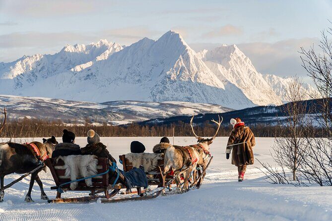 Reindeer Sledding and Feeding with Sami Culture in Tromso. - Exploring the Tour in Detail